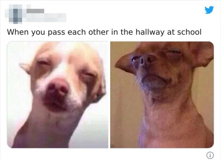 Having A Sibling Feels Exactly Like This…