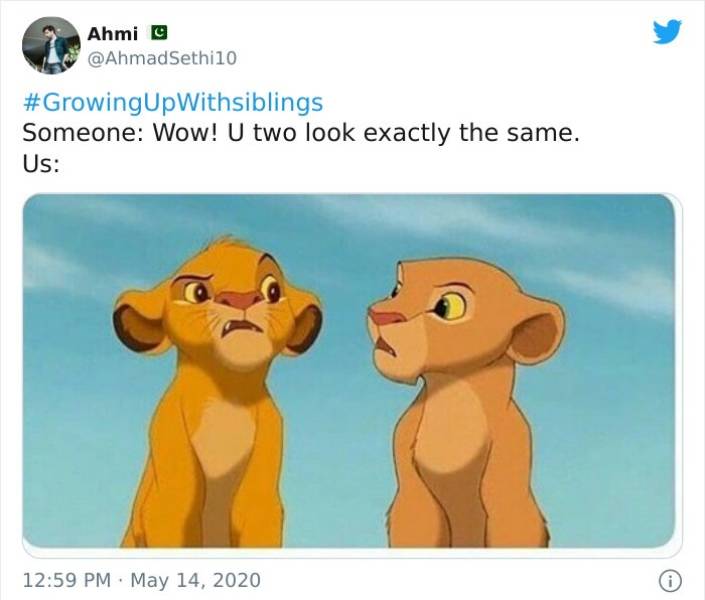 Having A Sibling Feels Exactly Like This…