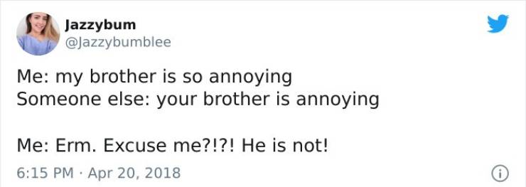 Having A Sibling Feels Exactly Like This…