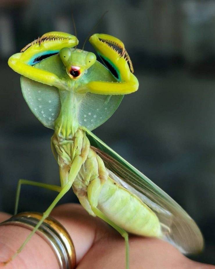 Morning Picdump