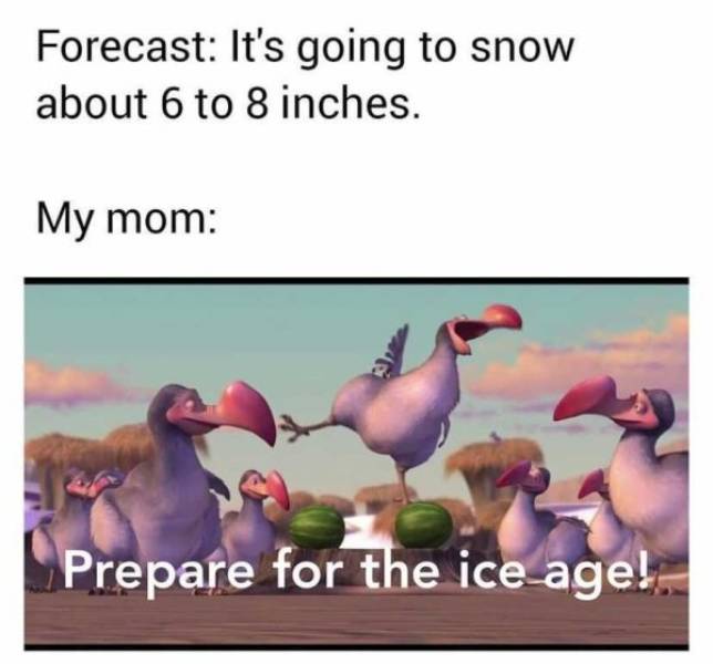 Memes For Those Who Are Having Way Too Much Snow Right Now