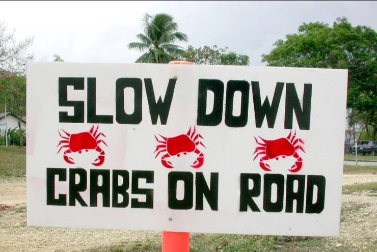 Christmas Island’s Red Crabs