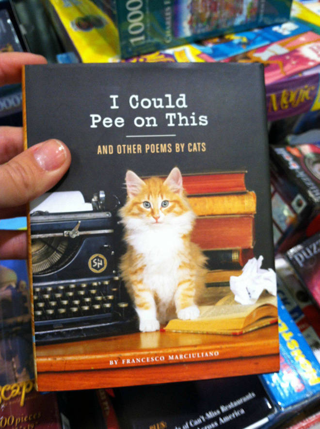 Something’s Not Right About These Cat Books…