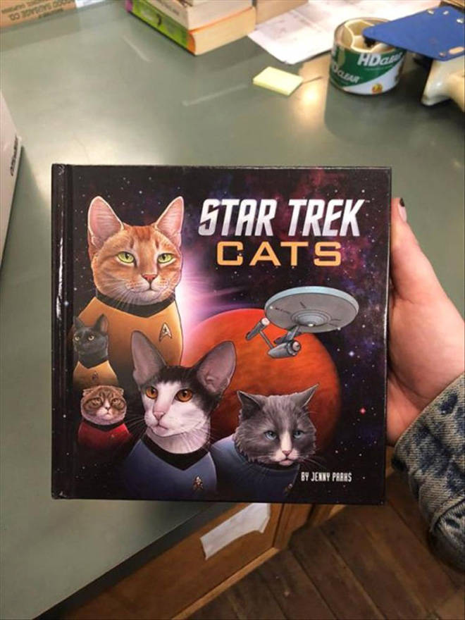 Something’s Not Right About These Cat Books…