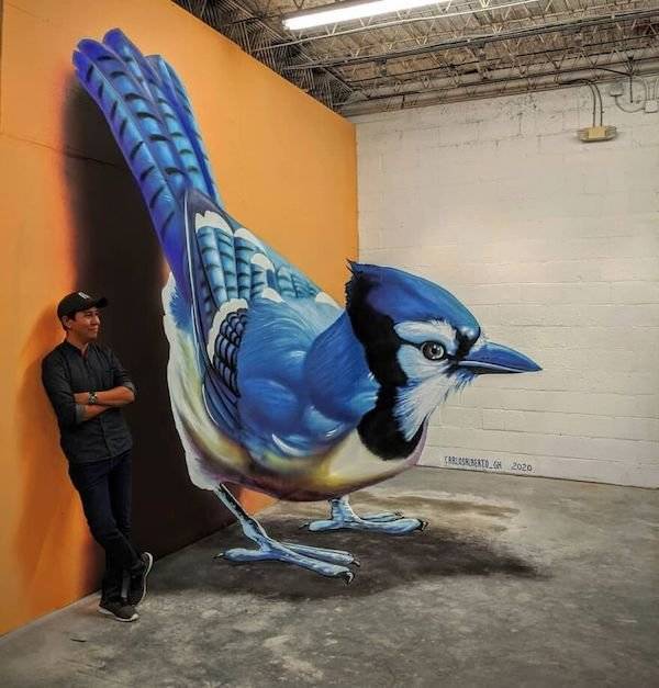 These Are Some Stunning Examples Of 3D Street Art!