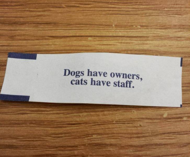 Fortune Cookies Can Be Quite Funny!