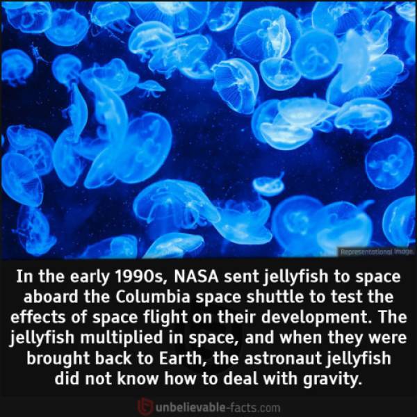 Fascinating Facts And Photos About The World