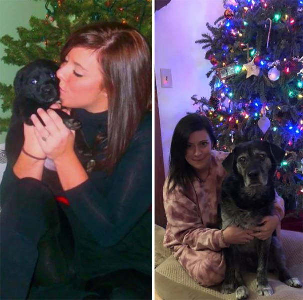 Dogs Before And After Growing Up