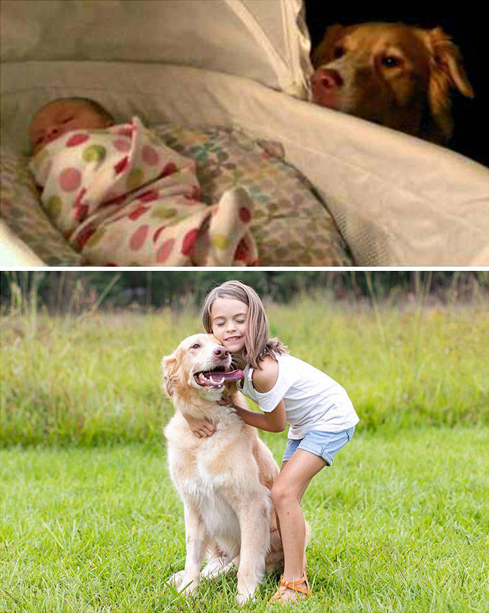 Dogs Before And After Growing Up