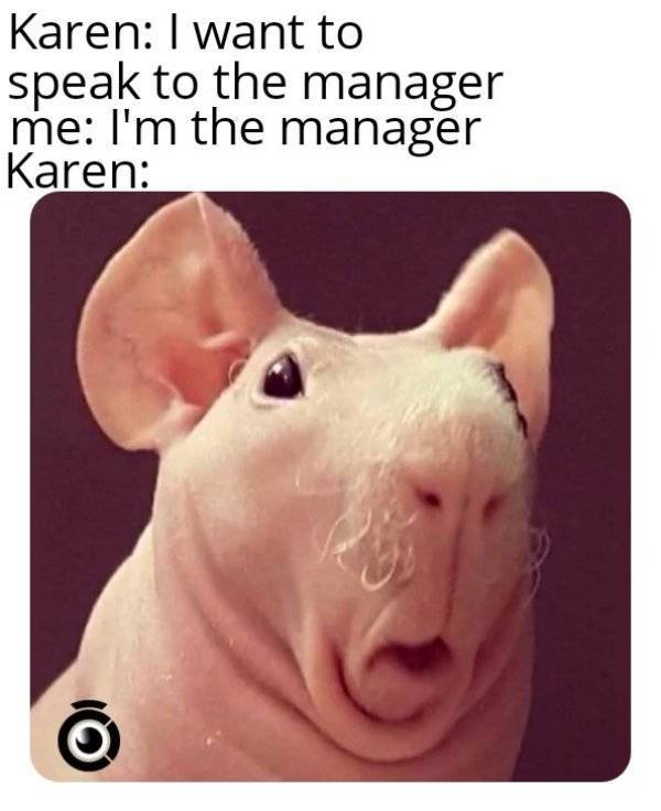 Karens, Just Go Away…