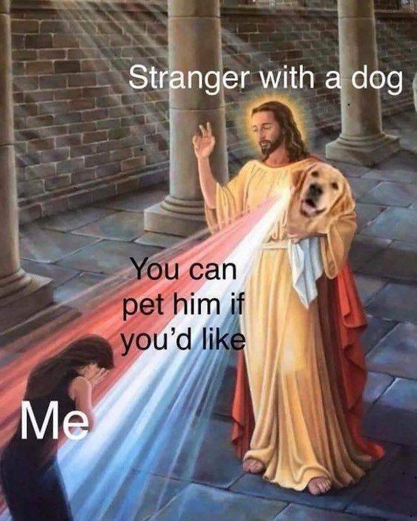 Don’t Bark At These Dog Memes!