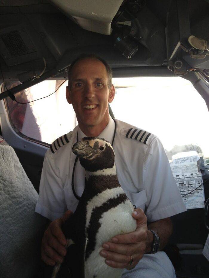 Traveling Animals Who Are Much More Civilized Than Many Humans…