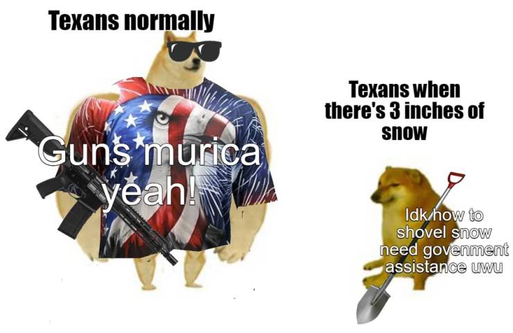 Memes About Texas And Snow