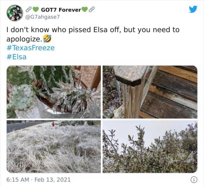 Texas Is Dealing With The Coldest Weather In Over 30 Years
