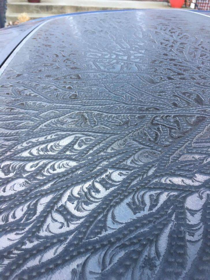 Snow And Frost Are So Cool!