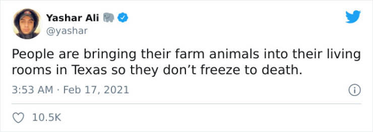 Texans Are Saving Wild And Farm Animals From The Unusual Cold