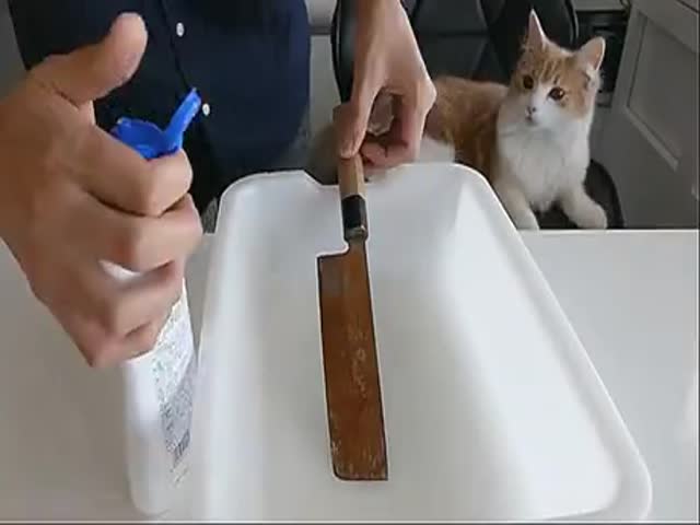 Traditional Japanese Knife Restoration