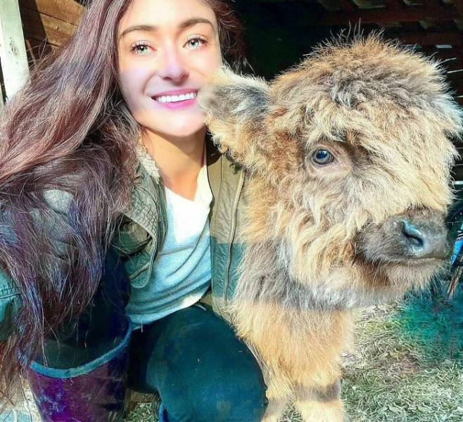 Woman Saves Abandoned Animals Of All Species, And Their Count Is Already Over Two Hundred!
