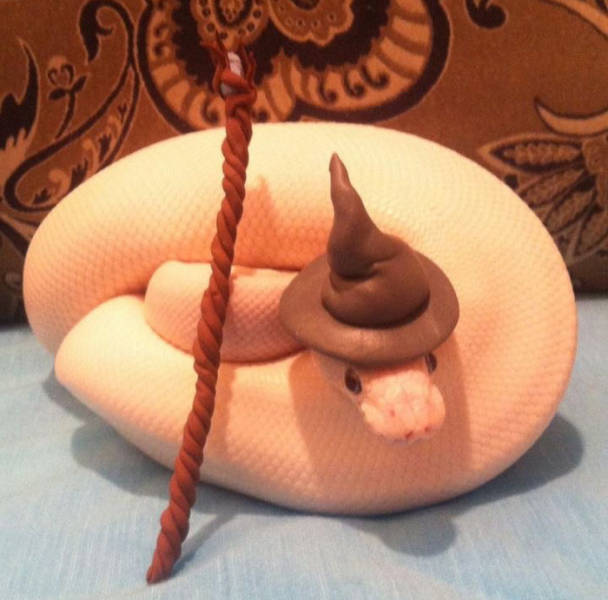 Turns Out, Snakes Wear Hats…