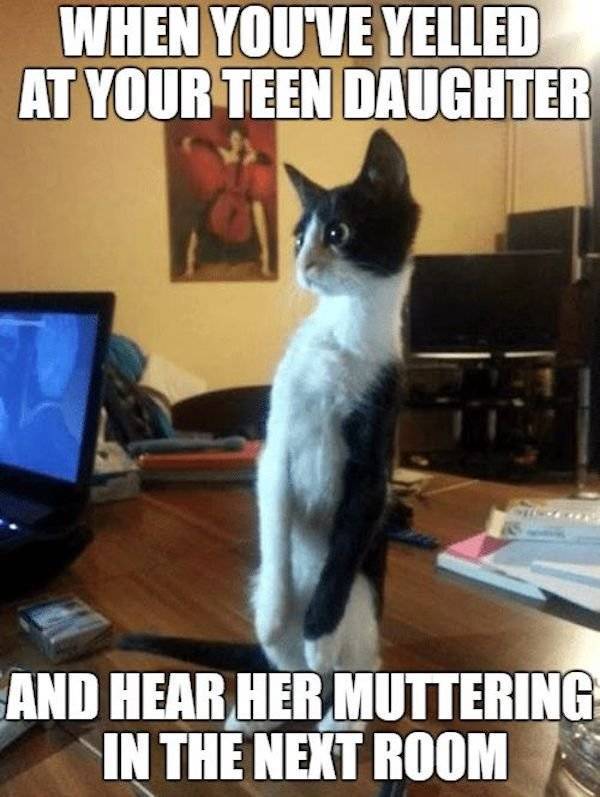 Have A Daughter? These Memes Are For You