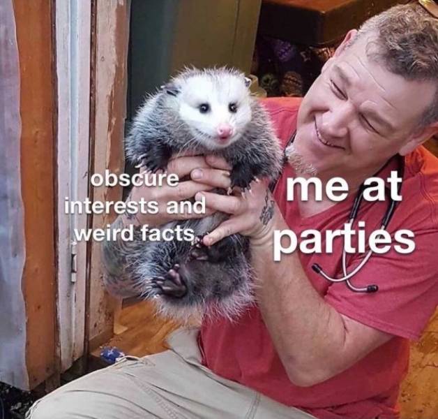 Don’t Share These Introvert Memes With Anyone