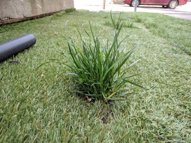 Civilization Can’t Stop Mother Nature!
