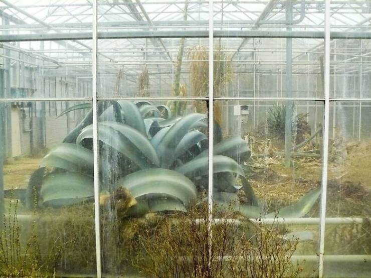 Civilization Can’t Stop Mother Nature!