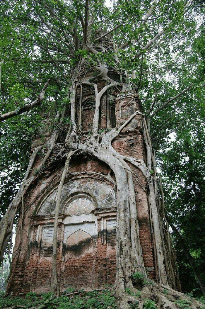 Civilization Can’t Stop Mother Nature!