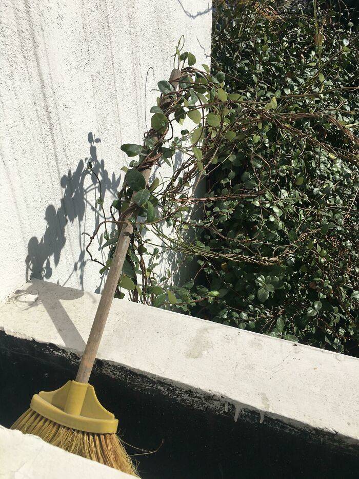 Civilization Can’t Stop Mother Nature!