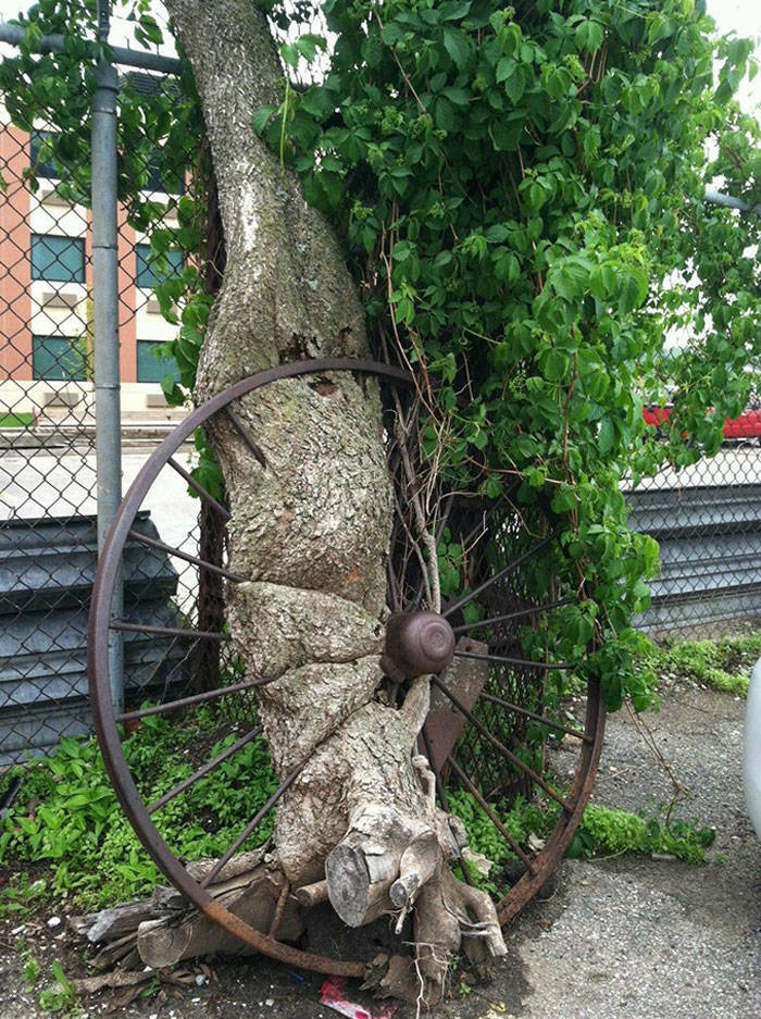Civilization Can’t Stop Mother Nature!