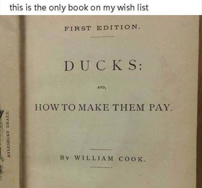 Funny Meme Pictures Of The Day