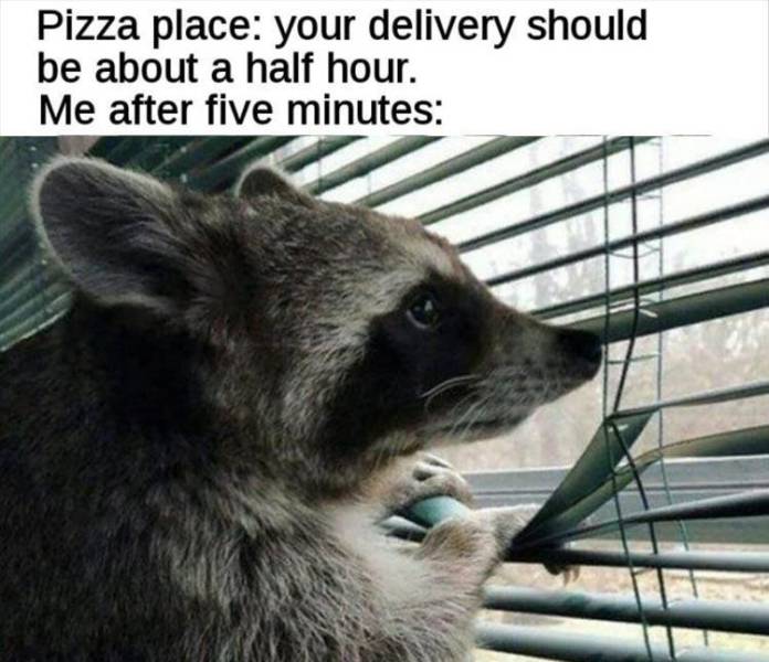 Funny Meme Pictures Of The Day