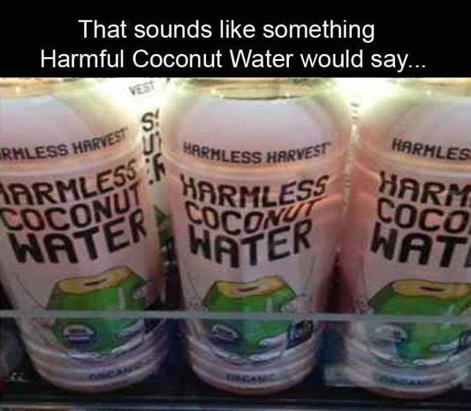 Funny Meme Pictures Of The Day