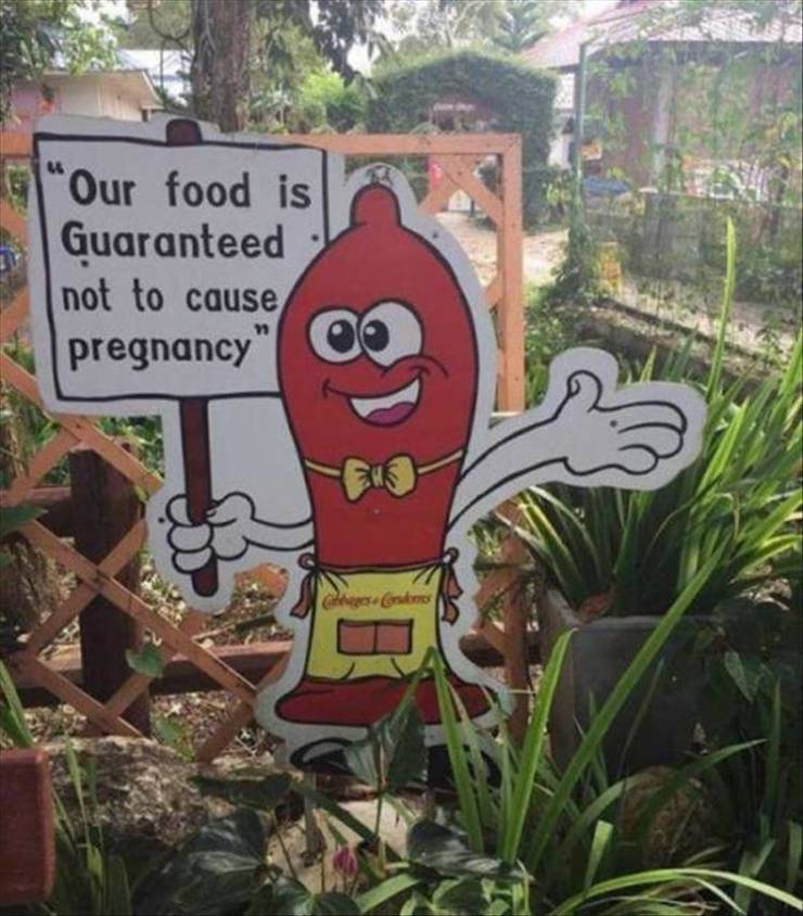 Funny Meme Pictures Of The Day