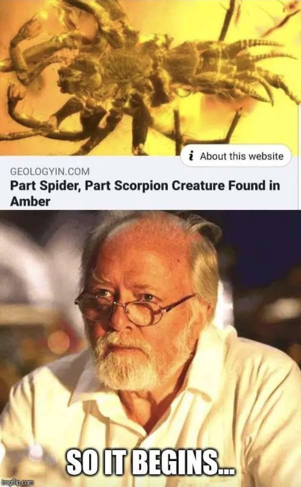 Don’t Get Eaten By These “Jurassic Park” Memes!