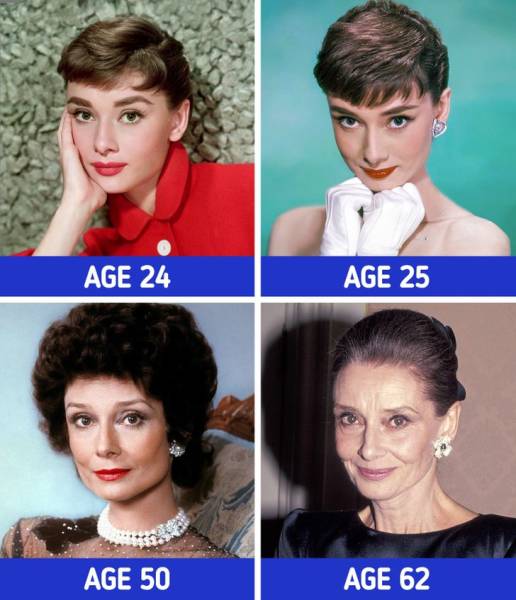 Hollywood Actresses Back In Their Prime And In Their Older Years