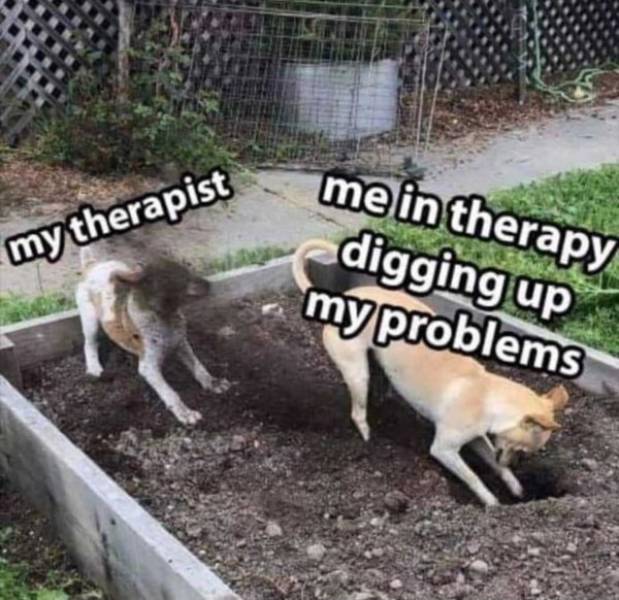 These Memes Are Your Therapy