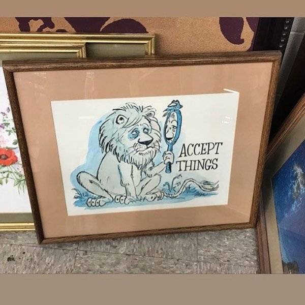Thrift Shop Finds Can Be Real Weird…