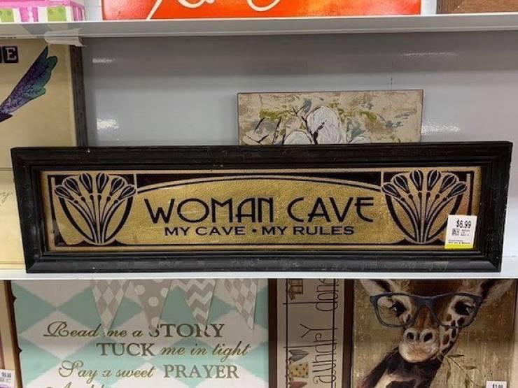 Thrift Shop Finds Can Be Real Weird…