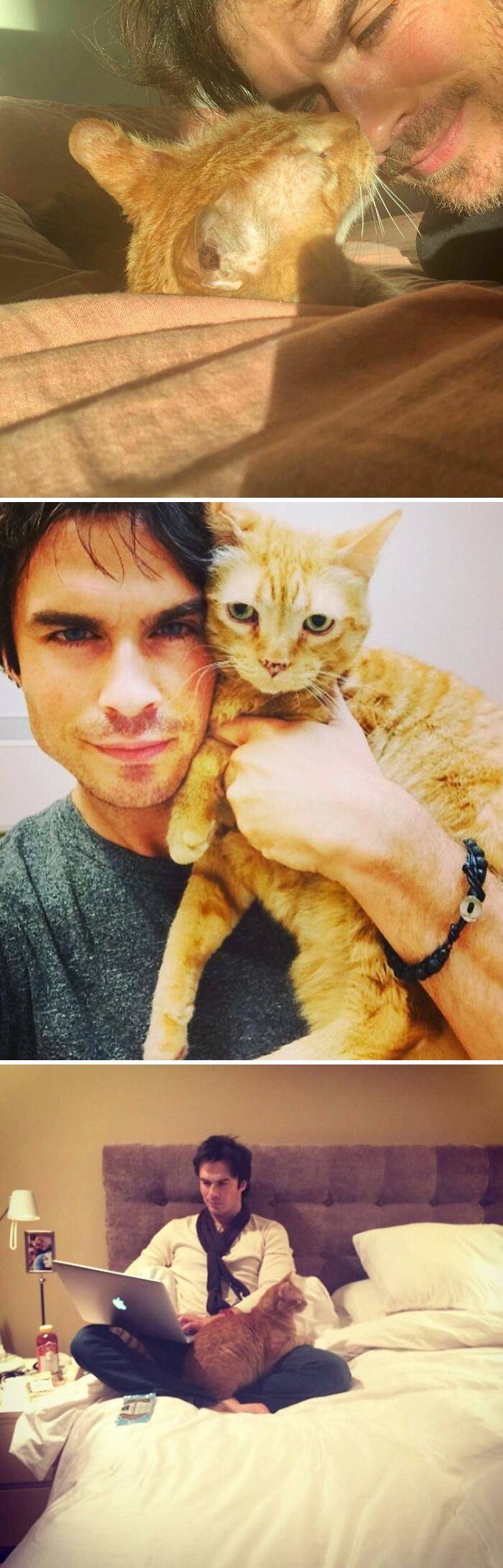 Celebs Who Love Their Pets