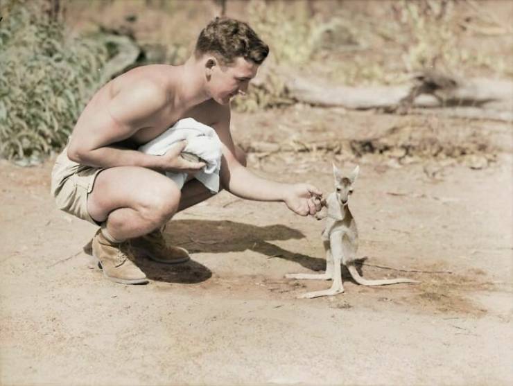 Historical Photos Colorized By “Cassowary Colorizations”