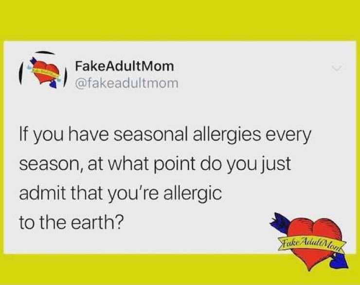 These Memes Are Just As Bad As Your Allergies!