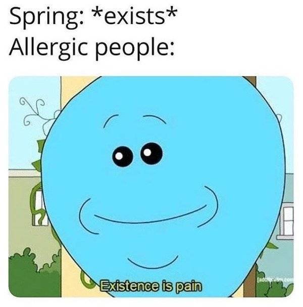 These Memes Are Just As Bad As Your Allergies!