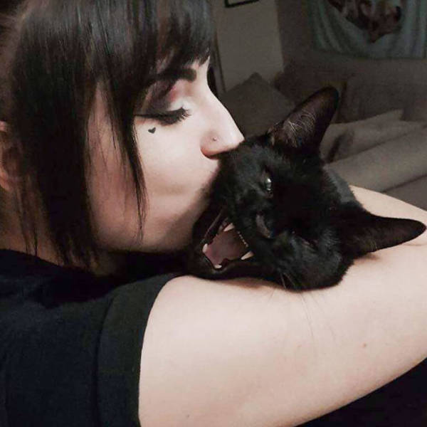 Cats Who Are Not Very Much Into Cuddles