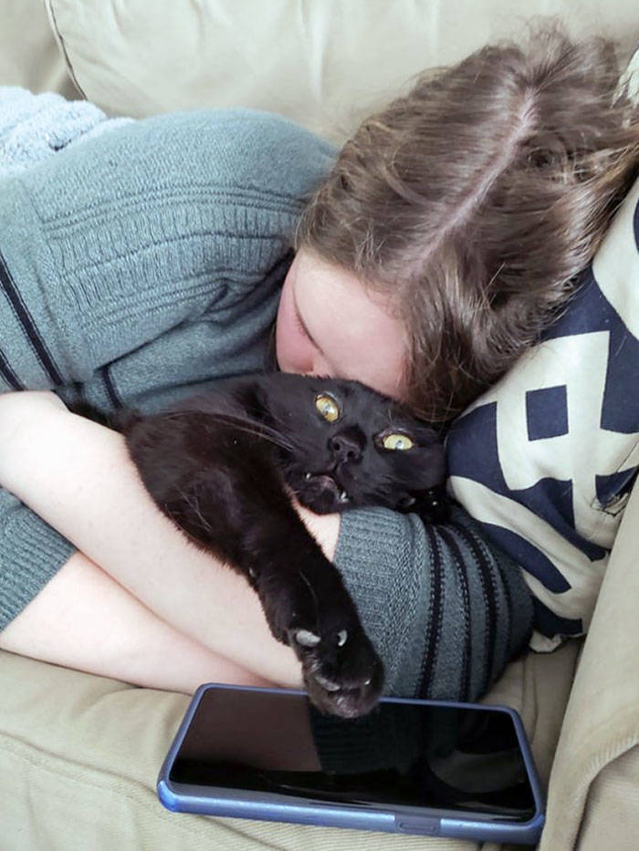 Cats Who Are Not Very Much Into Cuddles
