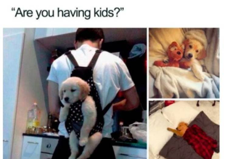 Don’t Have Kids? Have These Memes Instead