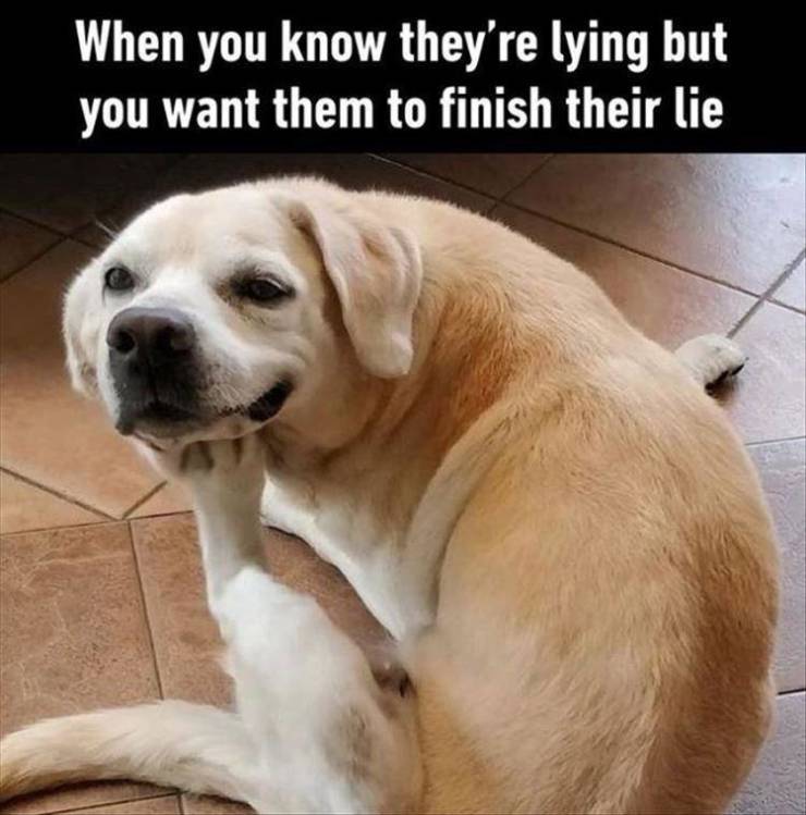 Funny Meme Pictures Of The Day 69 PICS Izismile