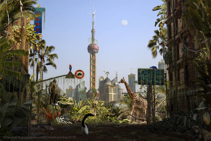 Artist Imagines Cities Without Humanity’s Presence