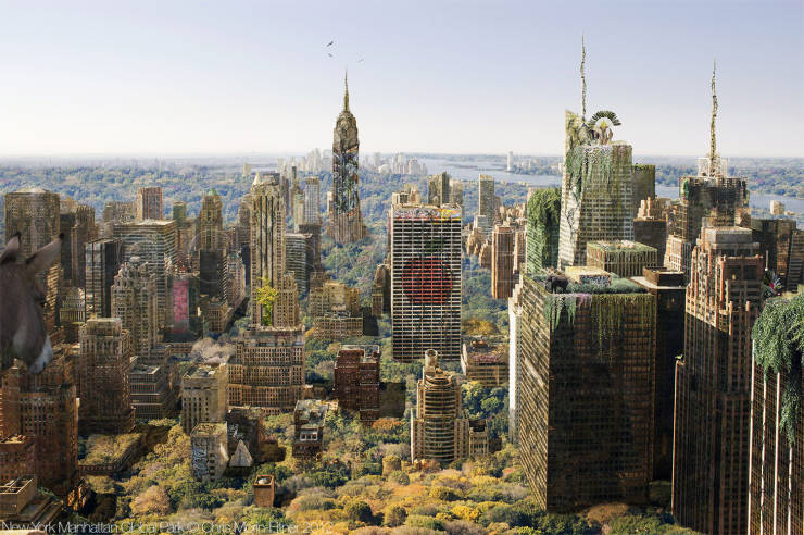 Artist Imagines Cities Without Humanity’s Presence