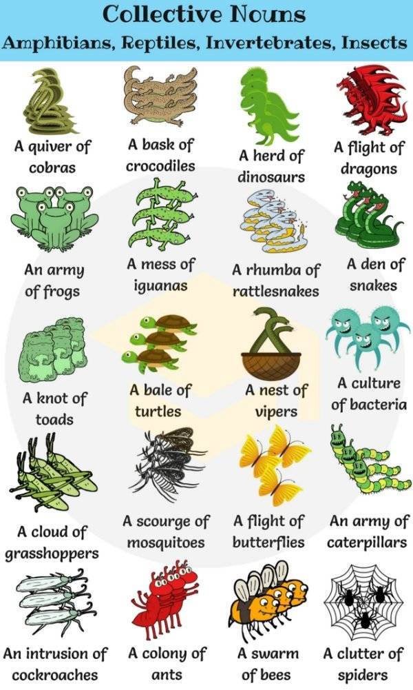 Great Charts With Random Knowledge!